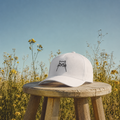 Moody Cat Structured Twill Cap – vue principale | Écritournures
